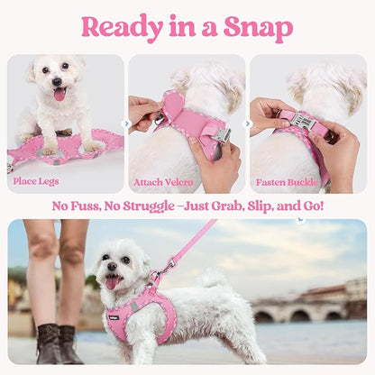 rabbitgoo Dog Harness Small Sized and Leash Set, Step in Soft Light Puppy Vest, Breathable Mesh Pet Harness, Reflective for Safe Easy Walking, Pink & Plaid Trim M