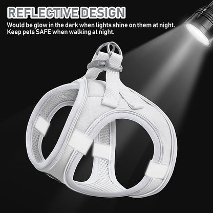 GAMUDA Small Pet Harness Collar and Leash Set, Step in No Chock No Pull Linen Fabric Soft Mesh Dog Vest Harnesses Reflective for Dogs Puppy Cats Kitten Rabbit (White, XXS)