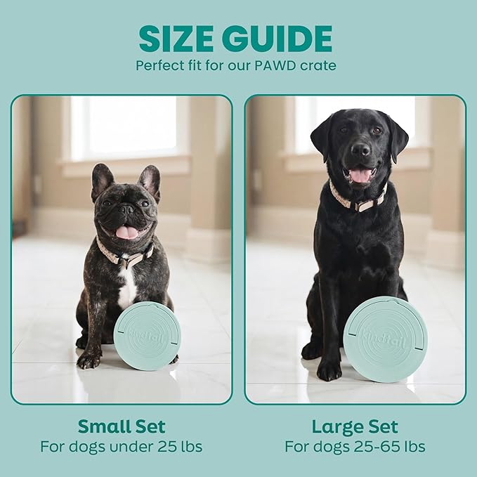 KindTail Portable Pet Feeder, Travel Dog Bowls with Lid and Handle, Microwave and Dishwasher-Safe, 10oz Inner Bowl & 20oz Outer Bowl, Grey