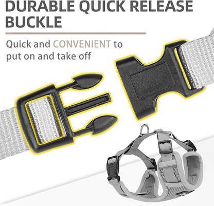 PUPTECK Small Dog Harness and Leash Set, No Pull Adjustable Puppy Cat Harness, Reflective Soft Mesh Pet Vest Small Sized, Grey, M