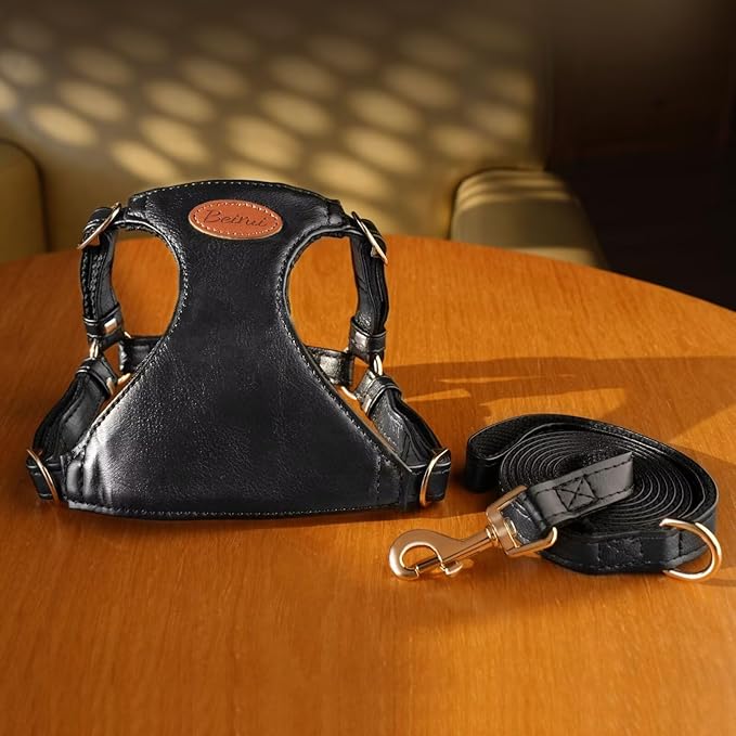 Beirui ‌Stylish PU Leather Dog Harness‌ and Leash Set for Small Dogs, ‌Adjustable Step in Dog Vest Harness with Breathable Mesh Lining and Durable Metal Buckle for Walking Traveling(Black,M)