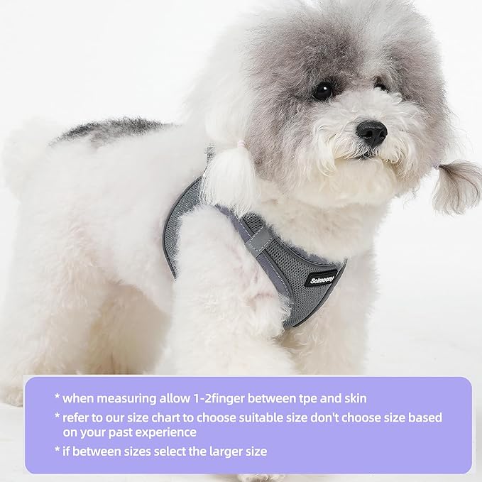 Solmoony Sparkly XS Dog Harness and Leash Set, Step in Soft Light Puppy Vest, Breathable Reflective Pet Harness for Walking, Puppy Harness for Small Dogs Cats (Grey, XS)