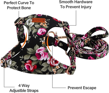 CHEDE No Pull Floral Pattern Dog Harness- Lightweight and Soft Harness, Adjustable Small Dog Harness and Leash Set, with Dog Leash, Suitable for Puppy Small and Medium-Sized Dog (M, Black Flower)