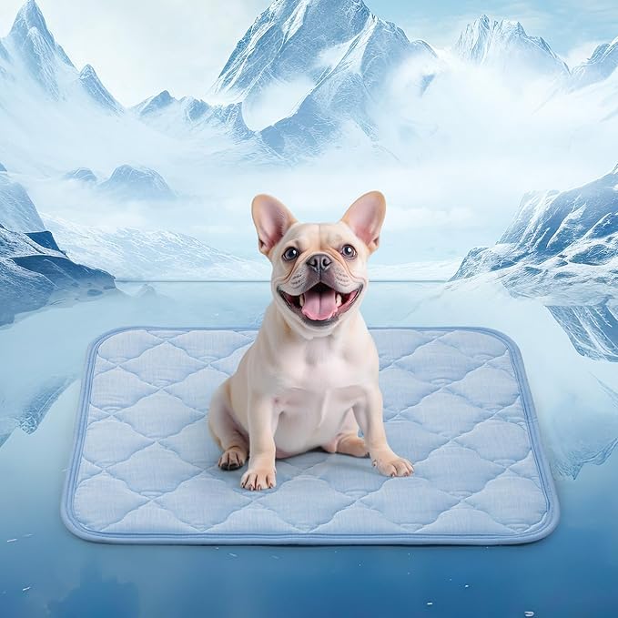 LOOBANI Dog Cooling Mat for Small Dog/Cats - 28" x 22" Self-Pet Cooling Pad for Summer with Anti-Slip Bottom, Reusable Q-Max>0.5 Cool Mat for Dogs, Indoor & Outdoor Use, Couch, Bed, Kennels and Floor