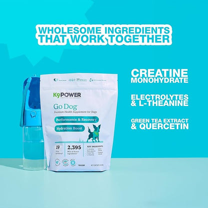 K9Power Go Dog – Hydration & Electrolyte Supplement for Dogs – Boost Stamina, Recovery, Muscle Function & Energy – Beta-Alanine, Creatine, BCAAs, Agave, Green Tea Extract, Electrolytes