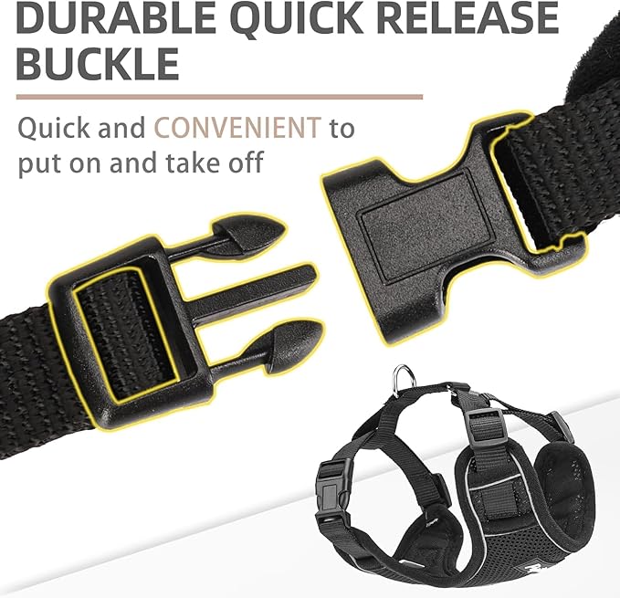 PUPTECK Small Dog Harness and Leash Set, No Pull Adjustable Puppy Cat Harness, Reflective Soft Mesh Pet Vest Small Sized, Black, M