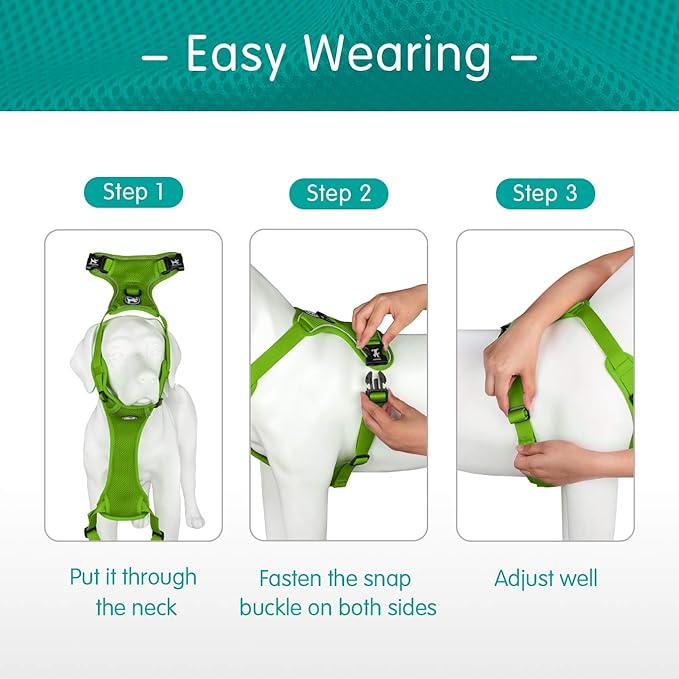 PoyPet Reflective Soft Breathable Mesh Dog Harness Choke-Free Double Padded Vest with Adjustable Neck and Chest(Grass Green,L)