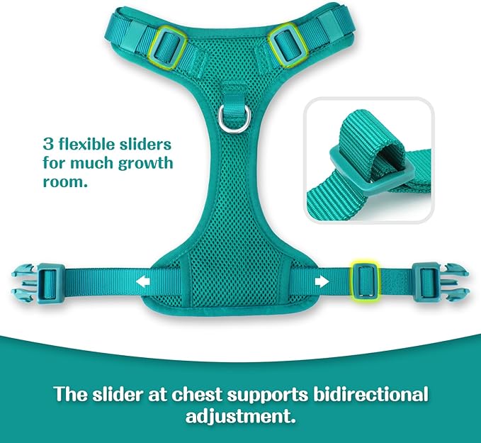 No Pull Dog Harness for Small Medium Large Dogs - Adjustable 2 Layer Mesh Dog Vest with Dual Clip, Escape Proof, Quick Release, Lightweight Breathable Mesh for Walking Hiking (MARRS Green,S)