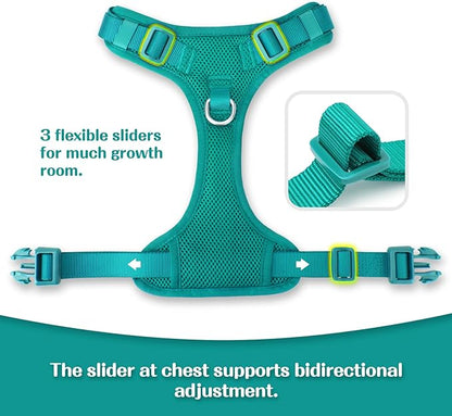 No Pull Dog Harness for Small Medium Large Dogs - Adjustable 2 Layer Mesh Dog Vest with Dual Clip, Escape Proof, Quick Release, Lightweight Breathable Mesh for Walking Hiking (MARRS Green,XS)