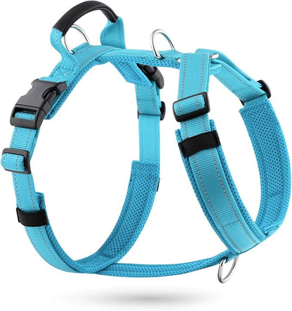 No Pull Dog Harness with Handle, Soft Mesh Padded Adjustable for Small Medium Large Dogs | Reflective Easy Walk Harness with Front Clip for Training, Running & Outdoor (Cyan, XL)