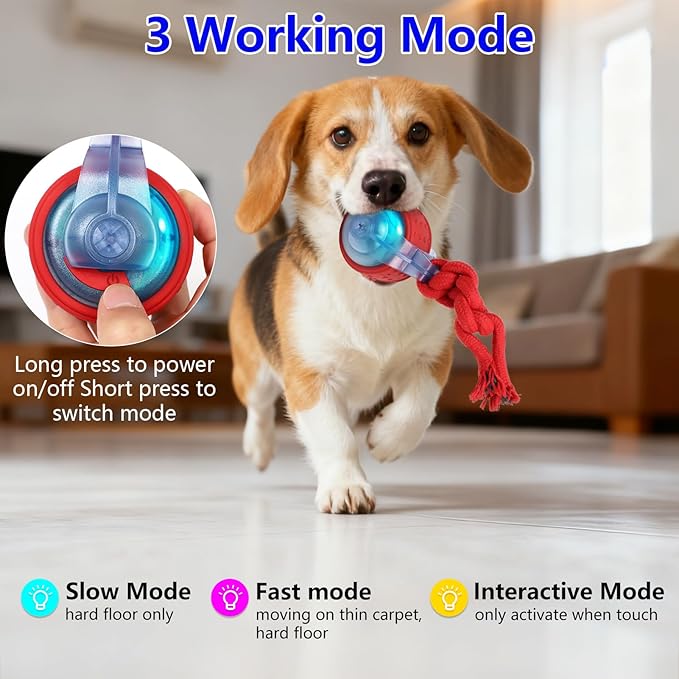Oxawo Interactive Dog Toys Pet Busy Balls Wiggles Ball for Medium & Small Dogs Keep Dogs Busy