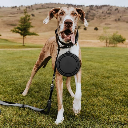 Collapsible Dog Bowl, Lightweight and Portable, Ideal for Travel, Hiking, Camping, and Everyday Use