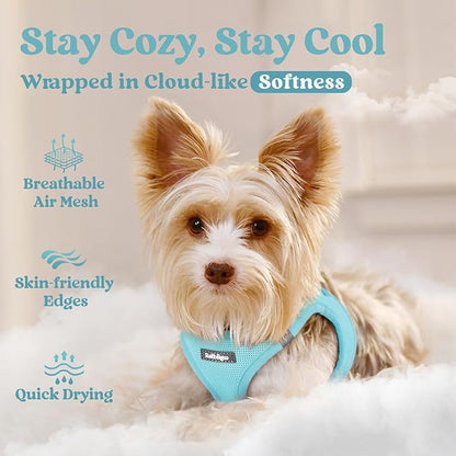 rabbitgoo Small Dog Harness, Step-in Soft Mesh Puppy Vest with Safety Buckle, Breathable Reflective Pet Harness for Large Dogs, Mint Blue XXL