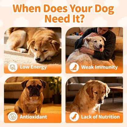 Dog Vitamins and Supplements for Daily Energy, Immune, Antioxidants, Gut, Skin & Coat, Dog Multivitamin Powder for Homemade Food with L-Carnitine, Taurine, Probiotics - Beef Flavor, 75 Scoops
