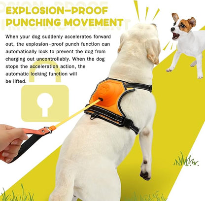 2-in-1 No Pull Dog Harness & Retractable Leash - Large Dog Harness with Auto-Lock, Reflective & Adjustable-XL