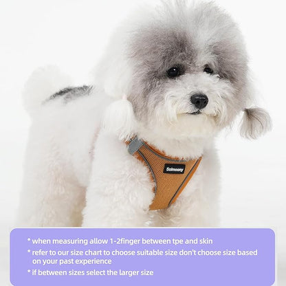 Solmoony Sparkly XXS Dog Harness and Leash Set, Step in Soft Light Puppy Vest, Breathable Reflective Pet Harness for Walking, Puppy Harness for Small Dogs Cats (Brown, XXS)