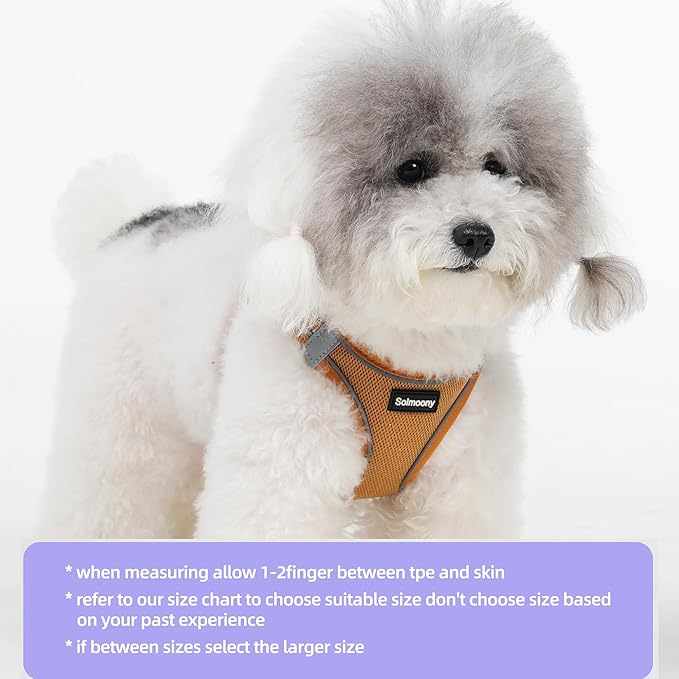 Solmoony Sparkly Medium Dog Harness and Leash Set, Step in Soft Light Puppy Vest, Breathable Reflective Pet Harness for Walking, Puppy Harness for Medium Dogs Cats (Brown, M)