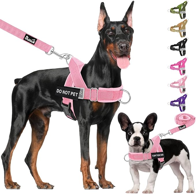 Lukovee No Pull Dog Harness & Leash Set - Heavy Duty Dog Vest Harness with Soft Padded for Medium Large Dogs, Adjustable Reflective Tactical Pet Harness for Easy Walk and Training (L, PI)