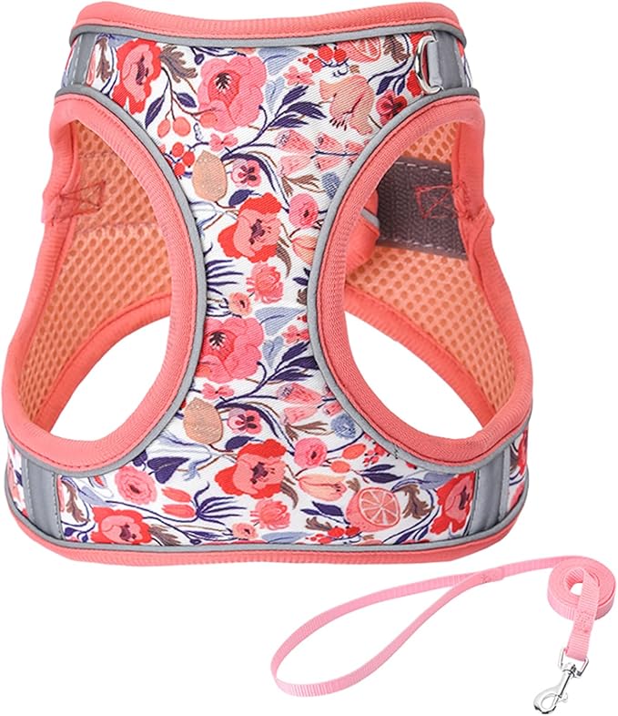 XXS Peach Flower Pattern Dog Harness and Leash Set,No Escape Puppy Harnesses for Training Walking，Breathable Adjustable Puppy Vest for Small Medium Dogs, Cats (Peach, XXS)