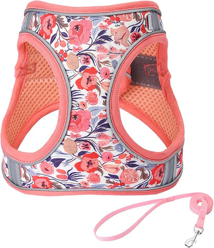 XXS Peach Flower Pattern Dog Harness and Leash Set,No Escape Puppy Harnesses for Training Walking，Breathable Adjustable Puppy Vest for Small Medium Dogs, Cats (Peach, XXS)