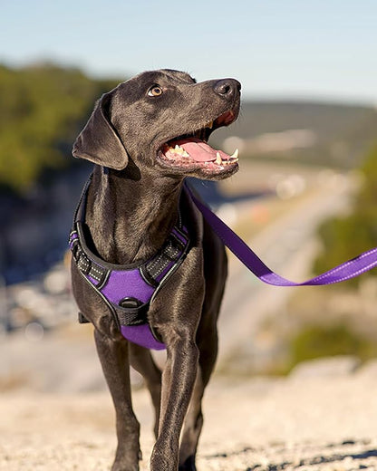 Joytale No Pull Dog Harness for Large Dogs, Reflective Pet Vest with Front Clip, Adjustable Soft Padded Harnesses with Easy Control Handle for Training and Walking, Purple, L