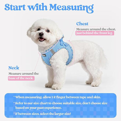 rabbitgoo Dog Harness Small Sized and Leash Set, Step in Soft Light Puppy Vest, Breathable Mesh Pet Harness, Reflective for Safe Easy Walking, Blue & Plaid Trim S