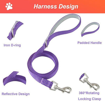 Hipubby Dog Harness Small Sized and Leash Set, No Pull Soft Mesh Puppy Vest, Reflective Breathable Lightweight Pet Harness, Harness for Small Medium Dogs and Cats - Purple/White Trim, XS