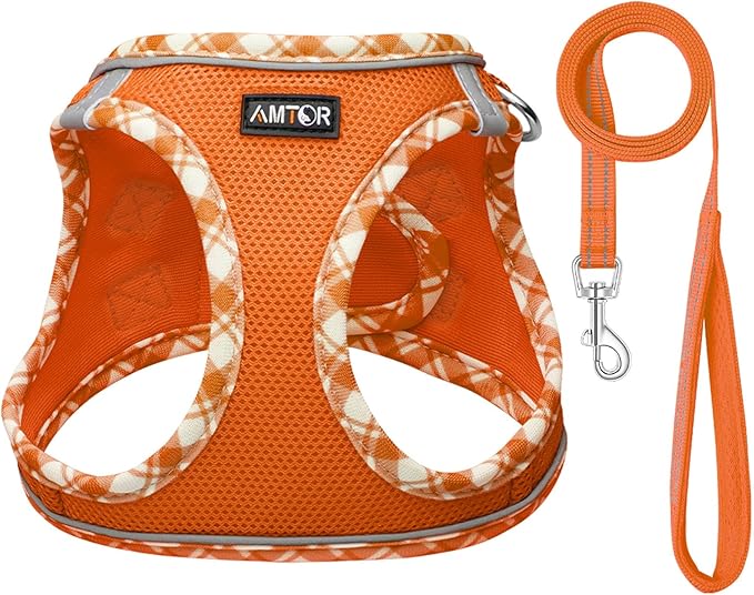 AMTOR Small Dog Harness with Leash Set, No Escape Easy Walk Puppy Harnesses for Training Walking, Step-in Reflective Soft Dogs Vest for XS S Medium Extra-Small Large Sized Dog(XL Size,Orange/White)