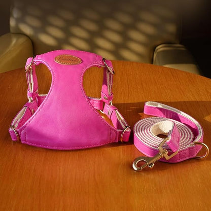 Beirui ‌Stylish PU Leather Dog Harness‌ and Leash Set for Small Dogs, ‌Adjustable Step in Dog Vest Harness with Breathable Mesh Lining and Durable Metal Buckle for Walking Traveling(Hot Pink,S)