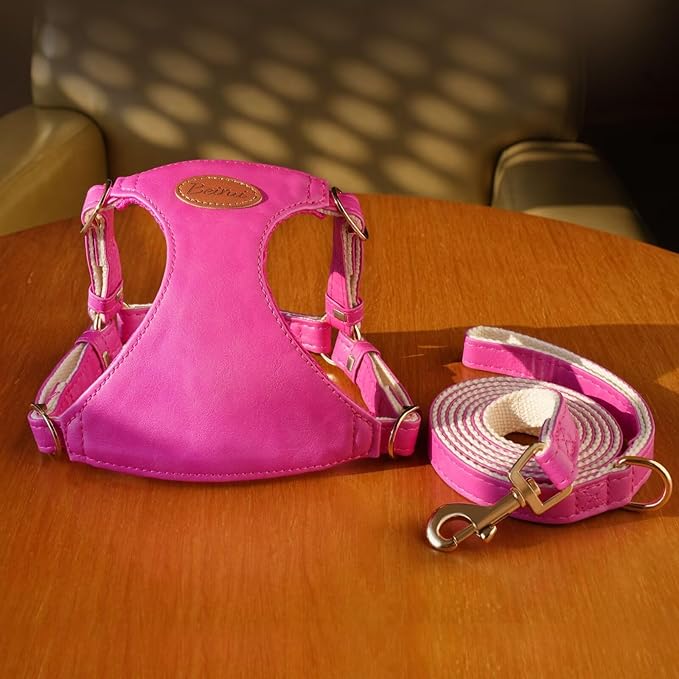 Beirui ‌Stylish PU Leather Dog Harness‌ and Leash Set for Small Dogs, ‌Adjustable Step in Puppy Harness with Breathable Mesh Lining and Durable Metal Buckle for Walking Traveling(Hot Pink,XS)