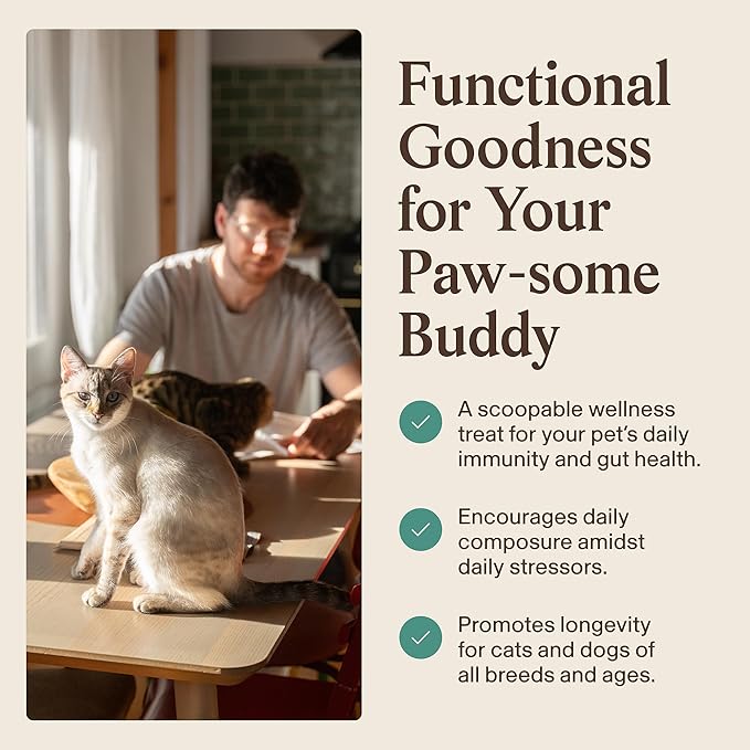 Real Mushrooms Pet Defenders with Krill - Dog Immune Support with Reishi, Turkey Tail, Shiitake, Maitake Organic Mushroom Extracts, Chaga - Daily Digestion and Immune Support for Dogs and Cats, 75g