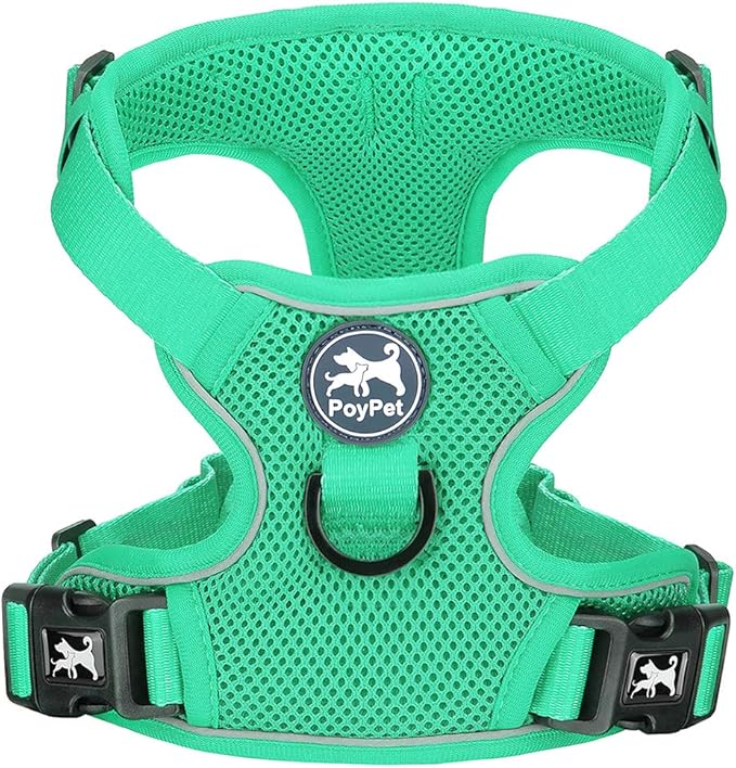 PoyPet Reflective Soft Breathable Mesh Dog Harness Choke-Free Double Padded Vest with Adjustable Neck and Chest(Mint Green,L)