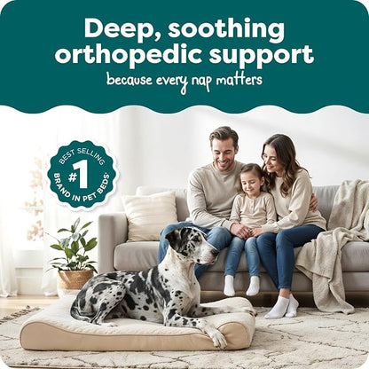FurHaven Orthopedic Dog Bed for XX-Large Dogs, Luxe Lounger Contour Mattress with Medical-Grade Solid Orthopedic Foam for Joint Support, Removable Washable Cover - Jumbo Plus/XXL, Plush Suede, Cream