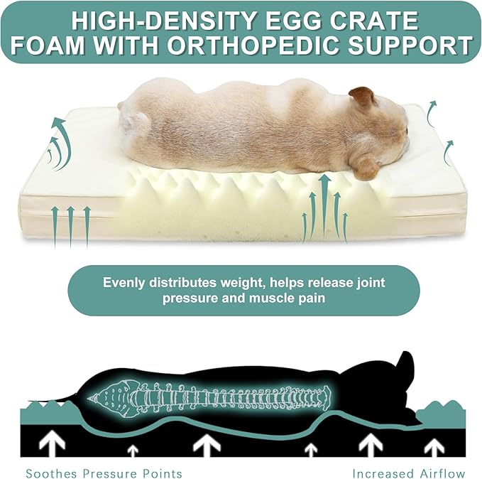 Vonabem Waterproof Small Dog Beds, Washable Crate Pad 24 inch, Orthopedic Foam Pet Bed with Removable Cover Reversible, Anti-Slip Puppy Kennel Pads, 23"x17", Beige