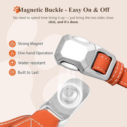 Magnetic Dog Harness and Leash Set with Quick Release Buckle, Easy On & Off Faux Leather Puppy Harness and Leash with Handle for Medium, Large Sized Dog