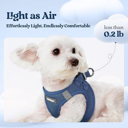 rabbitgoo Dog Harness Small Sized and Leash Set, Step in Soft Light Puppy Vest, Breathable Mesh Pet Harness, Reflective for Outdoor Safe Walking, Navy Blue XXXS
