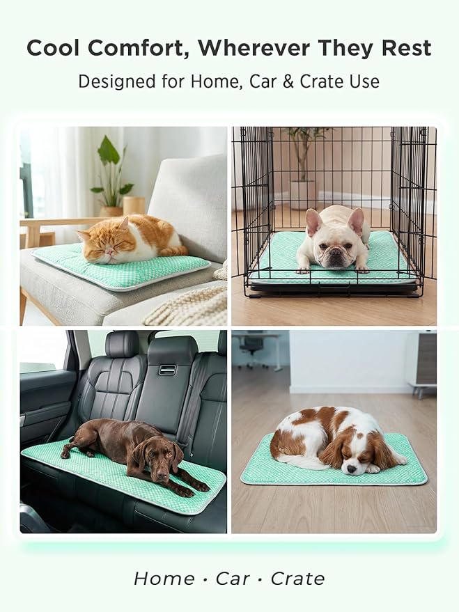 furrybaby Dog Cooling Mat Dog Bed, Extra-Thick Dog Crate Pad, Cat Bed, Washable Non-Toxic PCM Cooling Pad for Dogs Cats, Long Lasting Cooling for Crate Bed Indoor Outdoor Summer, 24x18, Mint