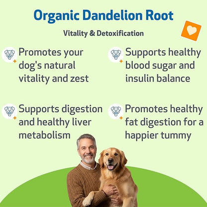 Pet Wellbeing Dandelion Root for Dogs - Liver & Heart Health, Digestive Function, Blood Sugar Support, Certified Organic - Veterinarian-Formulated Herbal Supplement 4 oz (118 ml)