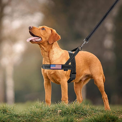 Annchwool No Pull Dog Harness with Padded Handle+5 Ft Leash,Reflective Strip Escape Proof and Quick Fit to Adjust Dog Harness,Easy for Training Walking for Small & Medium and Large Dogs(Black-Set,M)