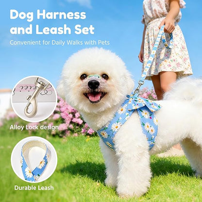 BAEJMJK Dog Harness and Leash Set with Bow Knot No Pull Pet Daisy Floral Harness with D-Ring Soft Mesh Dog Harness Vest Set Escape Proof Princess Puppy Harness for Small Girl Dogs Cats（Blue B L）