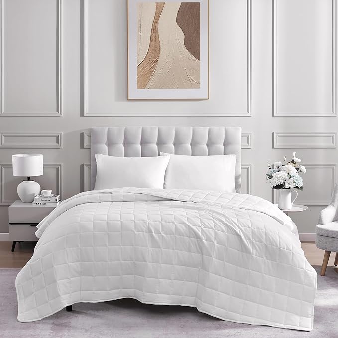 Casa Platino White Ultra Soft Pre-Washed Lightweight Down Alternative All Season Twin Size Bed Blanket