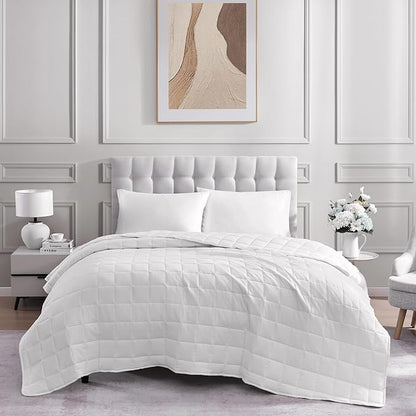 Casa Platino White Ultra Soft Pre-Washed Lightweight Down Alternative All Season Twin Size Bed Blanket