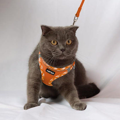 AMTOR Small Dog Harness with Leash Set, No Escape Easy Walk Puppy Harnesses for Training Walking, Step-in Reflective Soft Dogs Vest for XS S Medium Extra-Small Large Sized Dog(M Size,Orange/White)