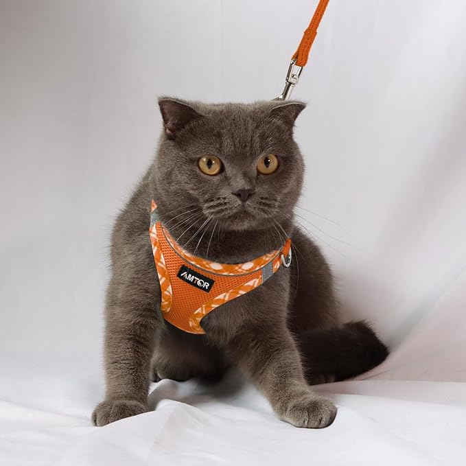 AMTOR Small Dog Harness with Leash Set, No Escape Easy Walk Puppy Harnesses for Training Walking, Step-in Reflective Soft Dogs Vest for XS S Medium Extra-Small Large Sized Dog(L Size,Orange/White)