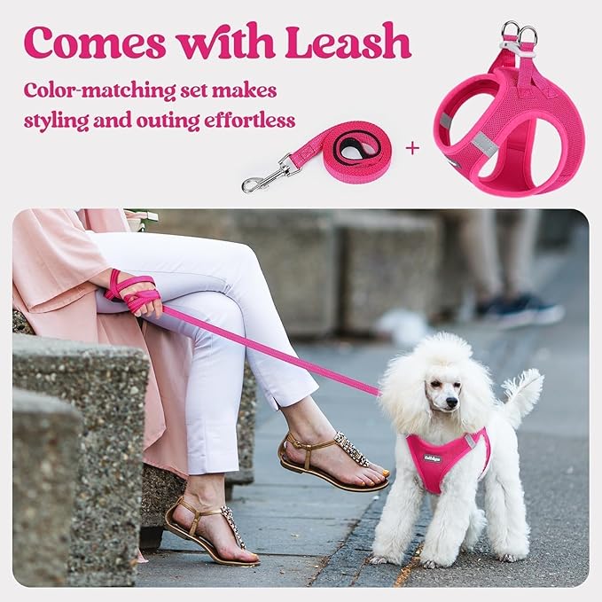 rabbitgoo Dog Harness Small Medium Sized and Leash Set, Step in Soft Light Puppy Vest, Breathable Mesh Pet Harness, Reflective for Safe Easy Walking, Rose Red L