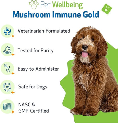 Pet Wellbeing Mushroom Immune Gold for Dogs - Complementary Immune Support with Functional Mushrooms Reishi, Maitake & Turkey Tail - NASC Certified & Vet-Formulated - 8 oz Liquid Formula