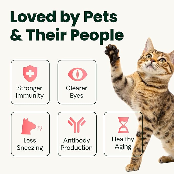 VetriScience Ultimate Strength Lysine Immunity Health Powder for Cats & Kittens, Supplement for Allergy & Nasal Support, Sneezing, Runny Nose & Watery Eyes, Chicken & Cheese Flavor, 60 Count -New Look