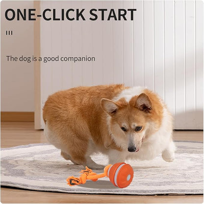 2PCS Interactive Dog Toys Dog Ball,Automatic Rolling and Bouncing Moving Dog Toy,Squeaky Rolling Balls with Flashing Light,USB Rechargeable Chew Toys for Puppy Small Dogs, Pet Ball to Keep Them Busy