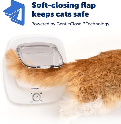 PetSafe Big Cat Door - Multi-Pet Doorway, Locking Cat Door Made For Interior & Exterior Use, Suitable for Pets Up to 25 lb, Push-&-Turn 4-Way Lock for Extra Security – Soft Close Flap for Added Safety