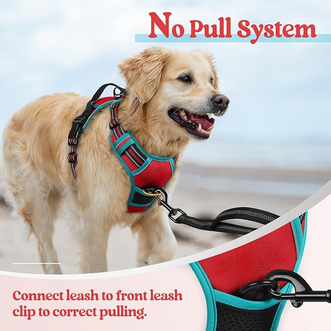 rabbitgoo Dog Harness No Pull with 2 Leash Clips, Adjustable Soft Padded, Reflective Oxford No Choke Pet Vest with Easy Control Handle for Small Dogs, Red & Teal, S